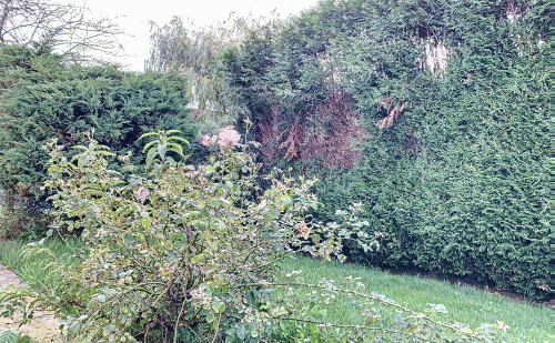 Maison 3 façades dans le paisible quartier de l'Oseraie Maison 3 façades dans le paisible quartier de l'Oseraie