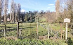 Terrain à bâtir à vendre à Heure-Le-Romain Terrain à bâtir à vendre à Heure-Le-Romain