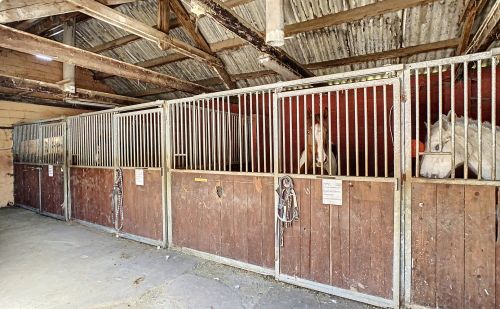 Centre équestre à vendre à Heure-le-Romain