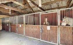 Centre équestre à vendre à Heure-le-Romain