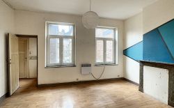 Immeuble mixte (rdc + 2 appartements)