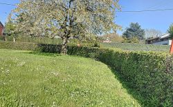 Maison 3 façades à vendre au centre du village Maison 3 façades à vendre au centre du village