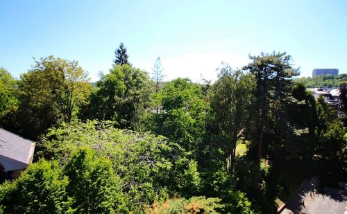 Appartement avec vue jardin Botanique à Liège Appartement avec vue jardin Botanique à Liège