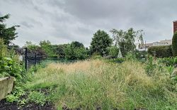 Maison bourgeoise quartier de la Chartreuse à Liège Maison bourgeoise quartier de la Chartreuse à Liège