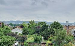 Maison bourgeoise quartier de la Chartreuse à Liège Maison bourgeoise quartier de la Chartreuse à Liège