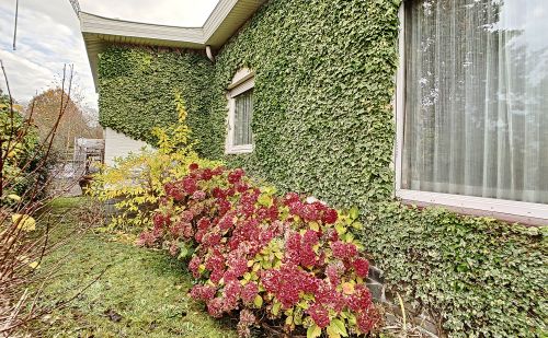 Maison à vendre quartier des Parcs à Embourg Maison à vendre quartier des Parcs à Embourg