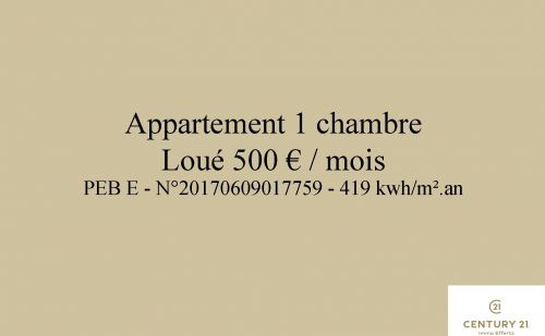 Immeuble de rapport 4 structures quartier Outremeuse à Liège Immeuble de rapport 4 structures quartier Outremeuse à Liège