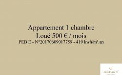 Immeuble de rapport 4 structures quartier Outremeuse à Liège Immeuble de rapport 4 structures quartier Outremeuse à Liège