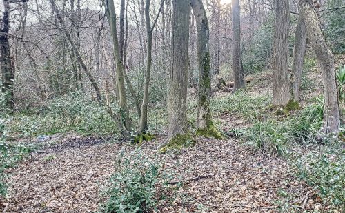 Terrain avec vue sur la vallée de l'Ourthe à Angleur