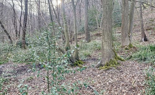 Terrain avec vue sur la vallée de l'Ourthe à Angleur