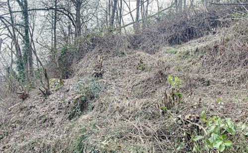 Terrain avec vue sur la vallée de l'Ourthe à Angleur