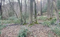 Terrain avec vue sur la vallée de l'Ourthe à Angleur