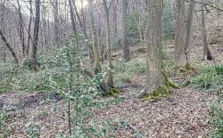Terrain avec vue sur la vallée de l'Ourthe à Angleur
