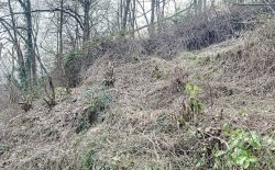 Terrain avec vue sur la vallée de l'Ourthe à Angleur