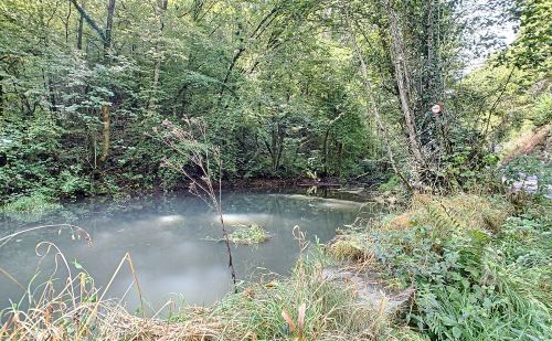 Bien atypique à vendre à Esneux Bien atypique à vendre à Esneux