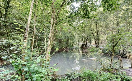 Bien atypique à vendre à Esneux Bien atypique à vendre à Esneux