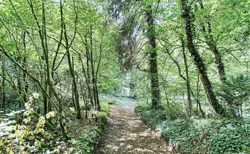 Bien atypique à vendre à Esneux Bien atypique à vendre à Esneux