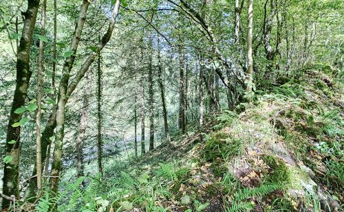 Bien atypique à vendre à Esneux Bien atypique à vendre à Esneux