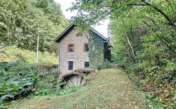 Bien atypique à vendre à Esneux Bien atypique à vendre à Esneux