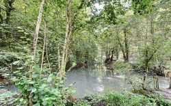 Bien atypique à vendre à Esneux Bien atypique à vendre à Esneux