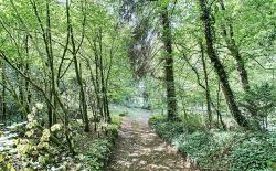 Bien atypique à vendre à Esneux Bien atypique à vendre à Esneux