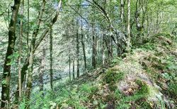 Bien atypique à vendre à Esneux Bien atypique à vendre à Esneux