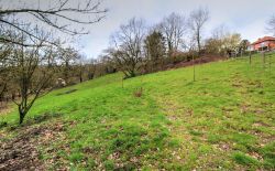 Terrain à bâtir de 2.894m²