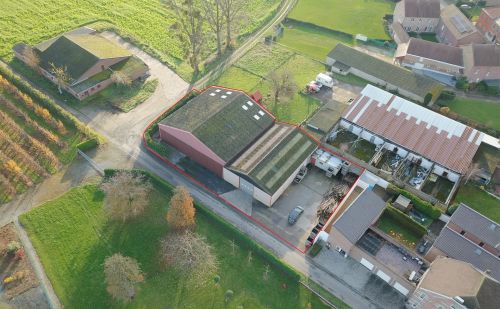 Entrepôt à vendre à Riemst