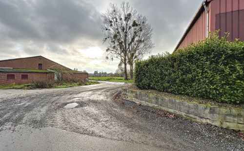 Entrepôt à vendre à Riemst