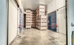 Entrepôt à vendre à Riemst