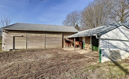 Propriété 5 chambres à vendre à Vielsalm