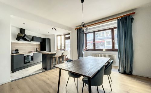 Appartement au centre de Liège Appartement au centre de Liège