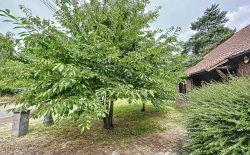 Belle villa 4 façades quartier de Housse à Blegny