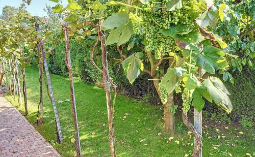 Magnifique villa située dans le quartier des Grands-champs