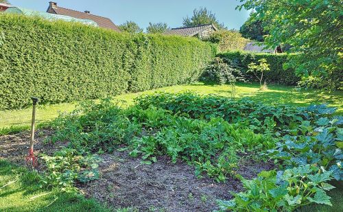Magnifique villa située dans le quartier des Grands-champs