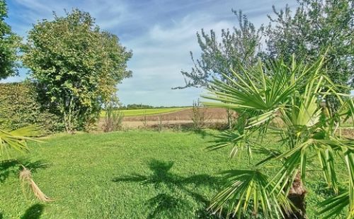 Maison 4 chambres à vendre à Fexhe-le-haut-clocher