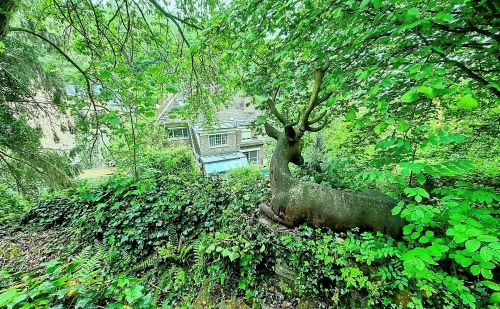 Maison 3 chambres à vendre à Huy Maison 3 chambres à vendre à Huy