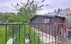 Maison sur le haut de Seraing idéale pour grande famille ou colocation